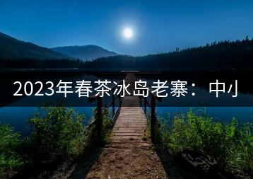 2023年春茶冰島老寨：中小樹混采2500-3000元／公斤，大樹：7000-8000元／公斤，古樹混采：28000-36000元／公斤