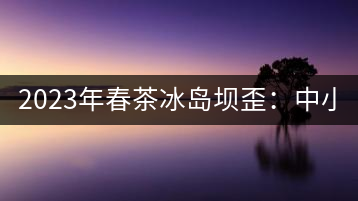 2023年春茶冰島壩歪：中小樹800元／公斤，古樹1400-1600元／公斤