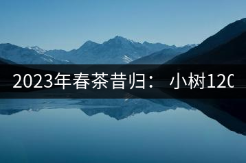 2023年春茶昔歸： 小樹(shù)1200-1600元／公斤，大樹(shù)4500-5200元／公斤，古樹(shù)7500-9000元／公斤.