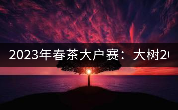 2023年春茶大戶賽：大樹(shù)200-300元／公斤，古樹(shù)800-1000元／公斤