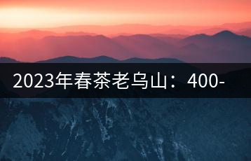 2023年春茶老烏山:400-600元/公斤