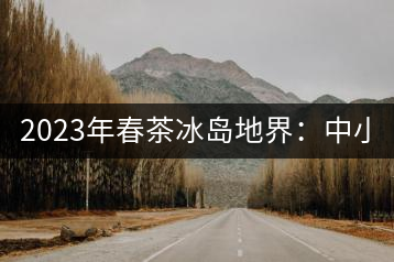 2023年春茶冰島地界：中小樹1300-1500元／公斤，古樹2200~2500元／公斤