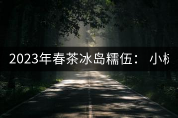 2023年春茶冰島糯伍： 小樹1300元／公斤，古樹：2100~2300元／公斤