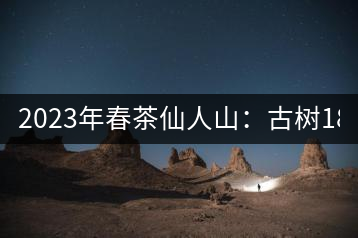 2023年春茶仙人山：古樹1800-2500元／公斤，老曼峨：小樹：600元／公斤 1600-1800元／公斤