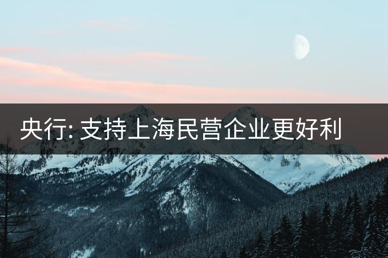 央行: 支持上海民營(yíng)企業(yè)更好利用債券融資