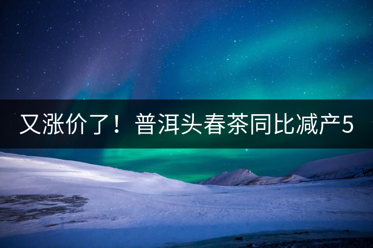 又漲價(jià)了！普洱頭春茶同比減產(chǎn)50%，薄荷塘一類鮮葉需當(dāng)面議價(jià)