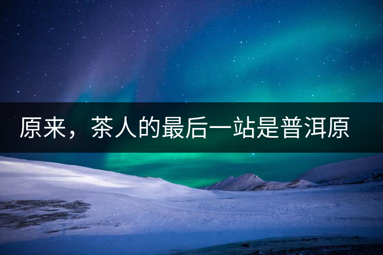 原來，茶人的最后一站是普洱原來，茶人的最后一站是普洱