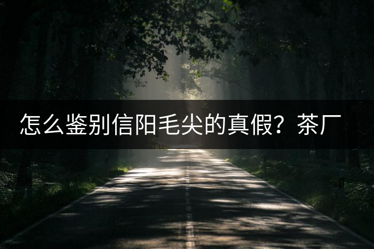怎么鑒別信陽毛尖的真假？茶廠小姐姐親自告訴你茶葉的等級(jí)