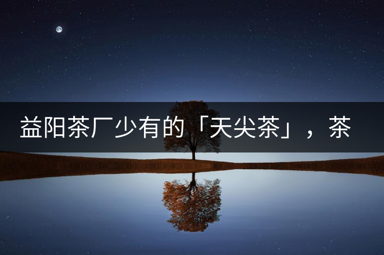 益陽(yáng)茶廠少有的「天尖茶」，茶品升級(jí)，收藏趁早！