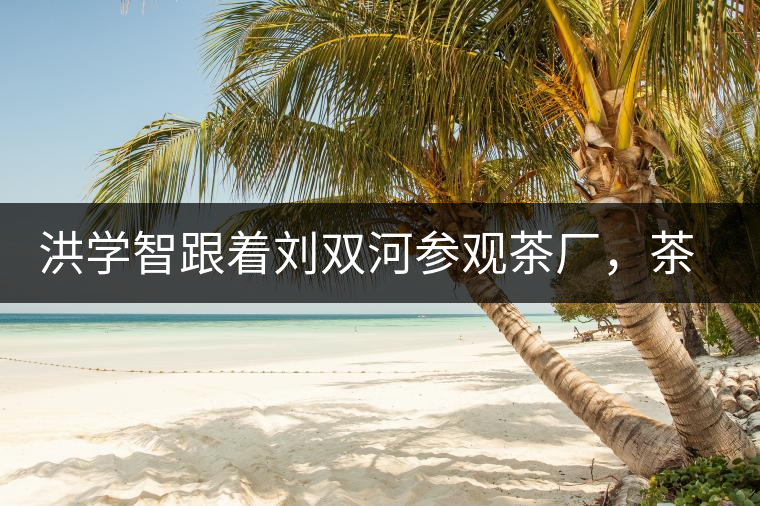 洪學(xué)智跟著劉雙河參觀茶廠，茶廠黃老板對賣苦力的百姓百般欺凌