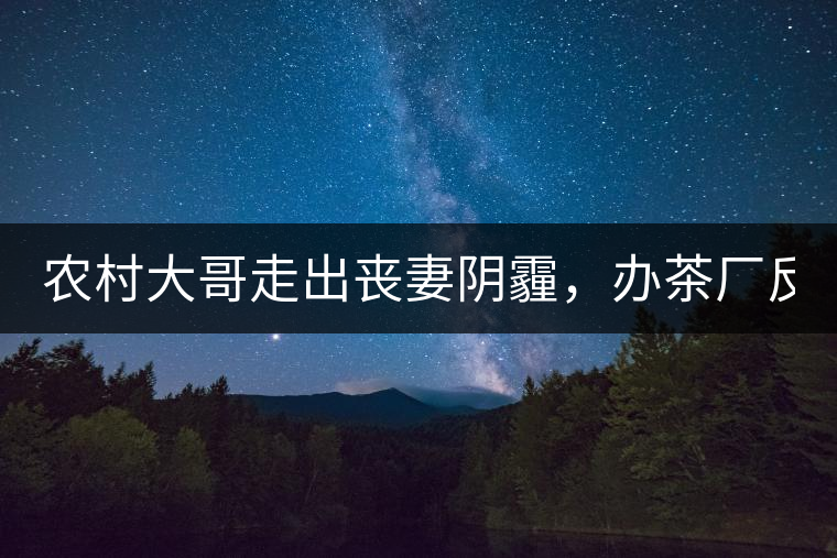 農(nóng)村大哥走出喪妻陰霾，辦茶廠反哺鄉(xiāng)鄰，每天處理鮮葉4000斤