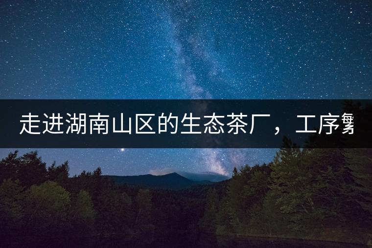 走進(jìn)湖南山區(qū)的生態(tài)茶廠，工序繁雜精細(xì)，538塊錢1斤真值走進(jìn)湖南山區(qū)的生態(tài)茶廠，工序繁雜精細(xì)，538塊錢1斤真值