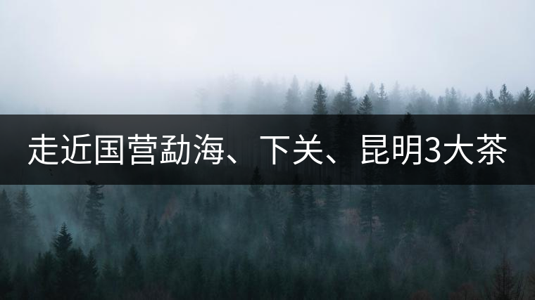 走近國(guó)營(yíng)勐海、下關(guān)、昆明3大茶廠，傳世代表作的發(fā)展詳...走近國(guó)營(yíng)勐海、下關(guān)、昆明3大茶廠，傳世代表作的發(fā)展詳解