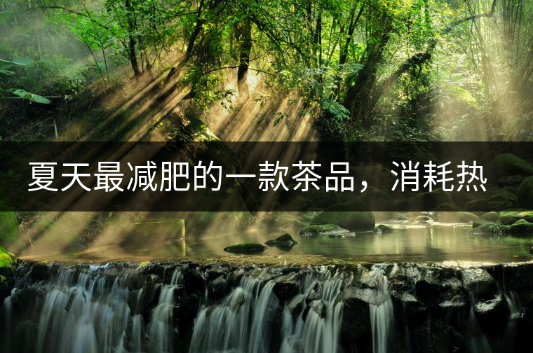 夏天最減肥的一款茶品，消耗熱量，此茶燃燒你的卡路里