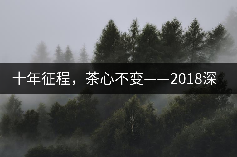 十年征程，茶心不變——2018深圳秋季茶博會12月13日隆重開幕！