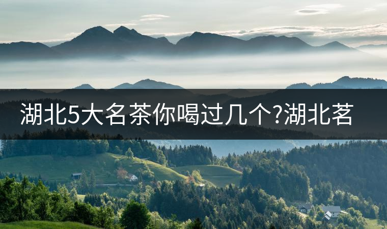 湖北5大名茶你喝過幾個?湖北茗茶的歷史故事?湖北茶哪...湖北5大名茶你喝過幾個？湖北茗茶的歷史故事？湖北茶哪個產(chǎn)地好