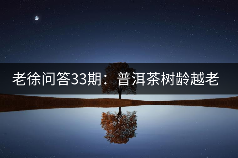 老徐問答33期：普洱茶樹齡越老越貴，那100年樹齡的老班章呢？