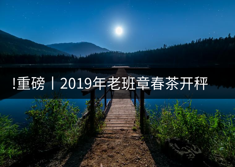 !重磅丨2019年老班章春茶開秤，一筆定價？如此出人意料！