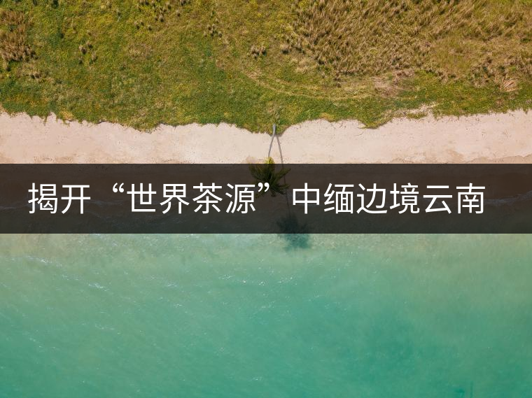 揭開“世界茶源”中緬邊境云南普洱景邁山的神秘面紗揭開“世界茶源”中緬邊境云南普洱景邁山的神秘面紗