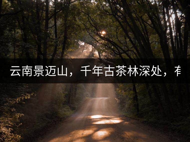 云南景邁山，千年古茶林深處，有一座世外桃源般的糯...云南景邁山，千年古茶林深處，有一座世外桃源般的糯干古寨