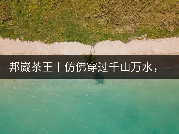 邦崴茶王丨仿佛穿過千山萬水，就是為了它而來邦崴茶王丨仿佛穿過千山萬水，就是為了它而來