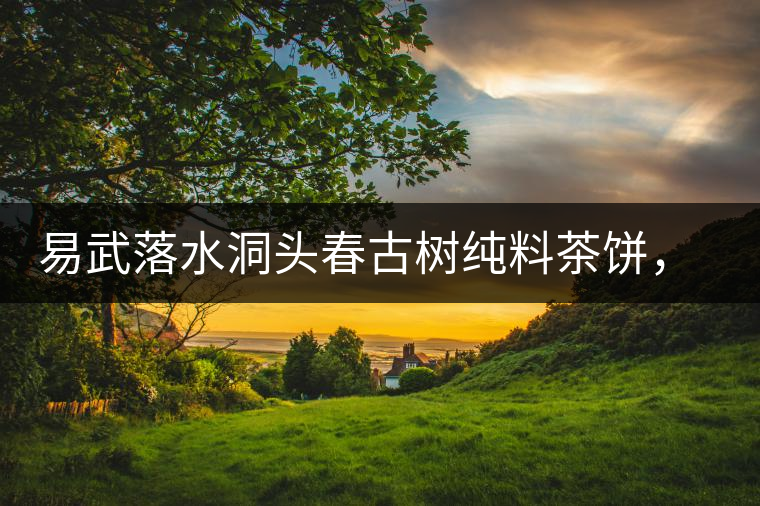 易武落水洞頭春古樹純料茶餅，實現(xiàn)原料和工藝的兩優(yōu)結(jié)合