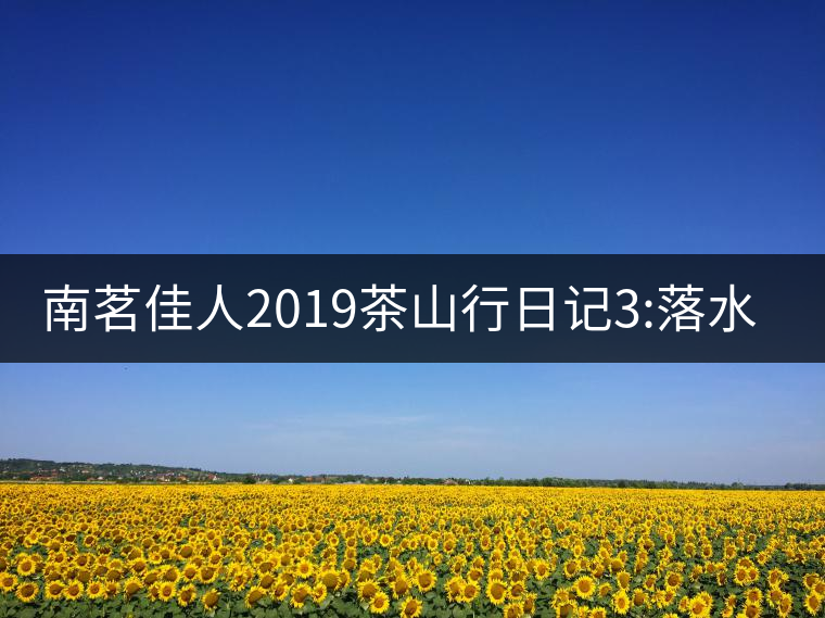 南茗佳人2019茶山行日記3:落水洞--200多年建村歷史，...南茗佳人2019茶山行日記3：落水洞——200多年建村歷史，靈動清越