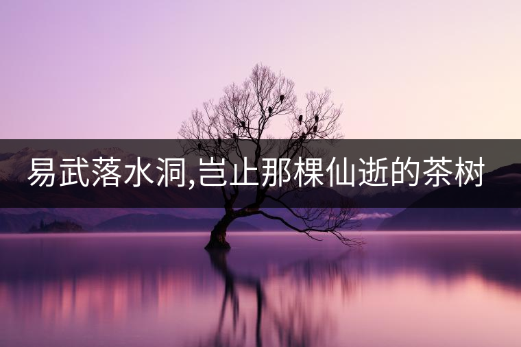 易武落水洞,豈止那棵仙逝的茶樹王?易武落水洞,豈止那棵仙逝的茶樹王？