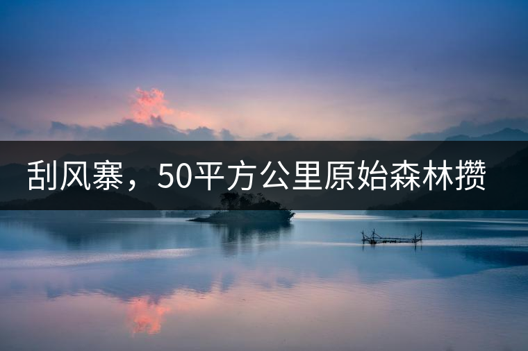 刮風寨，50平方公里原始森林攢集的氣韻！