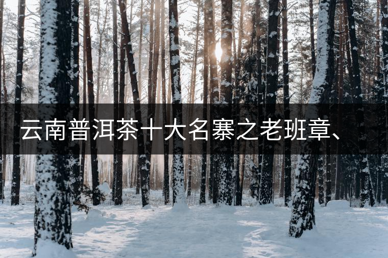 云南普洱茶十大名寨之老班章、那卡、冰島、刮風(fēng)寨、彎弓特點介紹