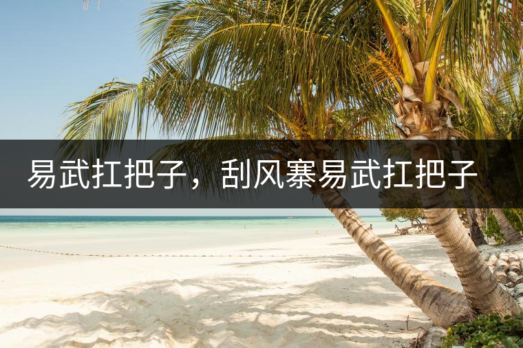 易武扛把子，刮風寨易武扛把子，刮風寨