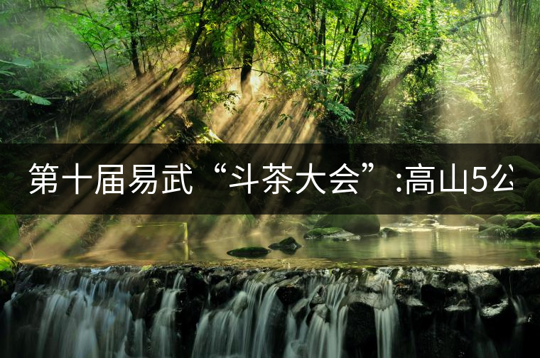 第十屆易武“斗茶大會”:高山5公斤15萬，刮風(fēng)寨5公斤...第十屆易武“斗茶大會”：高山5公斤15萬，刮風(fēng)寨5公斤30萬...