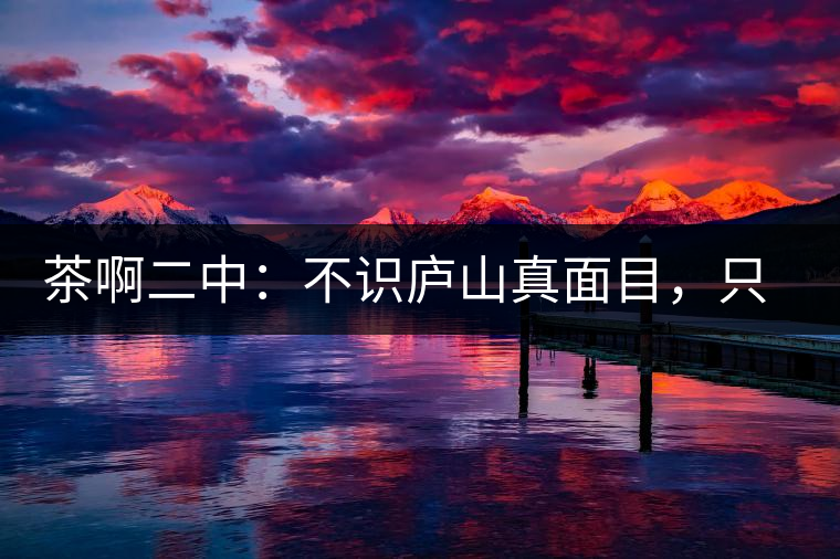 茶啊二中：不識廬山真面目，只識彎弓射大雕，賈淳真搞笑