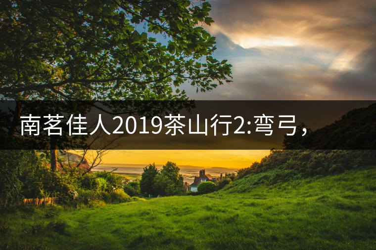 南茗佳人2019茶山行2:彎弓，一路艱辛，只為這有生命...南茗佳人2019茶山行2：彎弓，一路艱辛，只為這有生命厚度的茶！