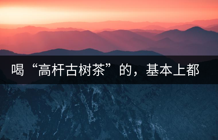 喝“高桿古樹(shù)茶”的，基本上都是不懂茶的