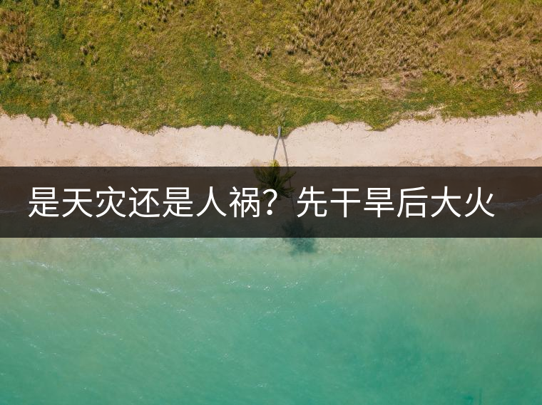 是天災(zāi)還是人禍？先干旱后大火，普洱茶將何去何從？