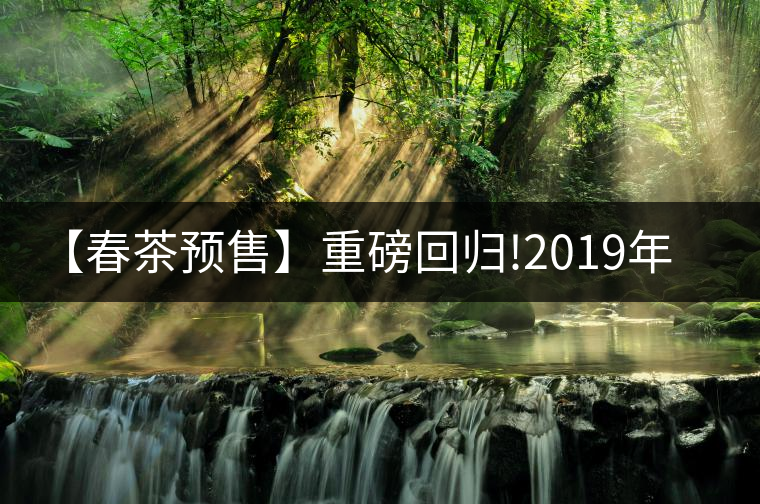 【春茶預(yù)售】重磅回歸!2019年春茶一招制勝的秘密--天門...【春茶預(yù)售】重磅回歸！2019年春茶一招制勝的秘密——天門山