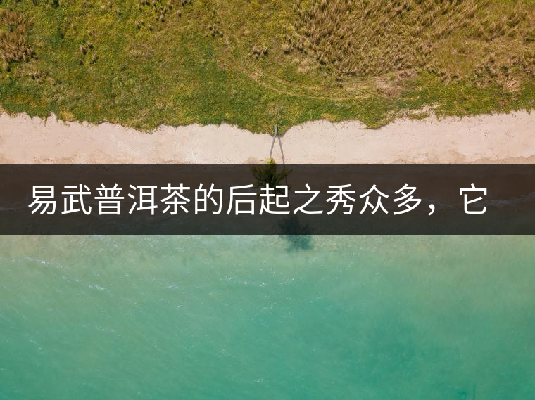 易武普洱茶的后起之秀眾多，它是還沒漲價(jià)的一個(gè)！