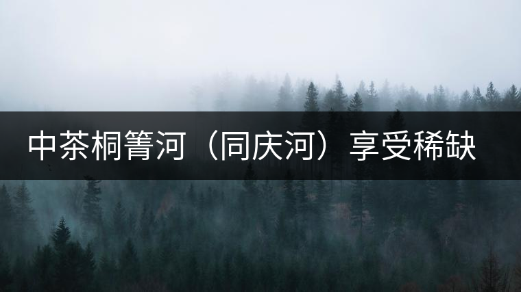 中茶桐箐河（同慶河）享受稀缺的秘境野韻奇香