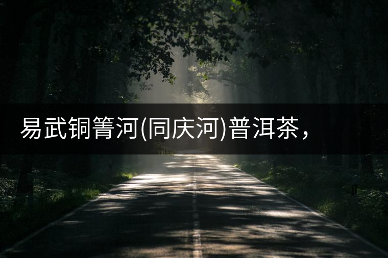 易武銅箐河(同慶河)普洱茶，讓我拜倒的不止它的口感易武銅箐河（同慶河）普洱茶，讓我拜倒的不止它的口感