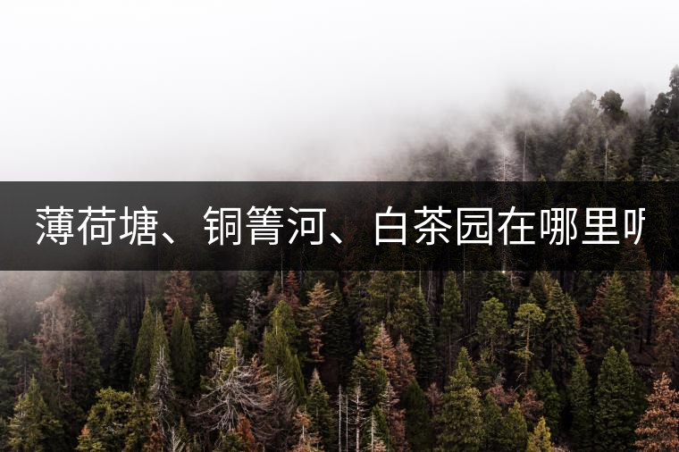 薄荷塘、銅箐河、白茶園在哪里呢?薄荷塘、銅箐河、白茶園在哪里呢？