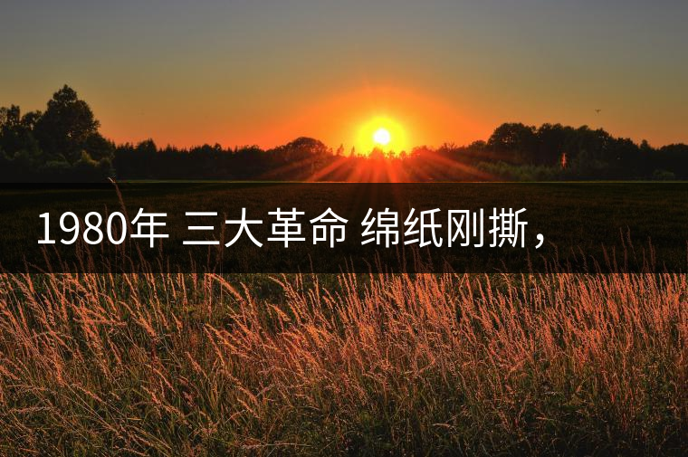 1980年 三大革命 綿紙剛撕，品相極好，整體干凈漂亮1980年 三大革命 綿紙剛撕，品相極好，整體干凈漂亮