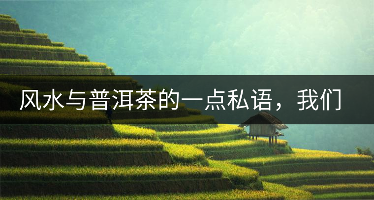 風(fēng)水與普洱茶的一點(diǎn)私語，我們形而上的聊一把