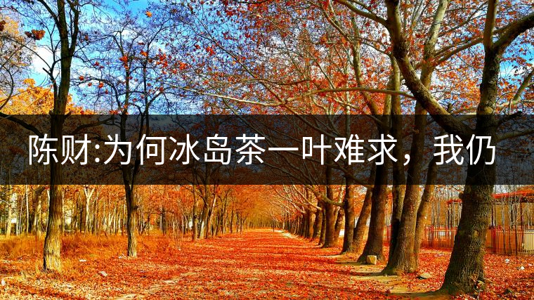 陳財(cái):為何冰島茶一葉難求，我仍然堅(jiān)持