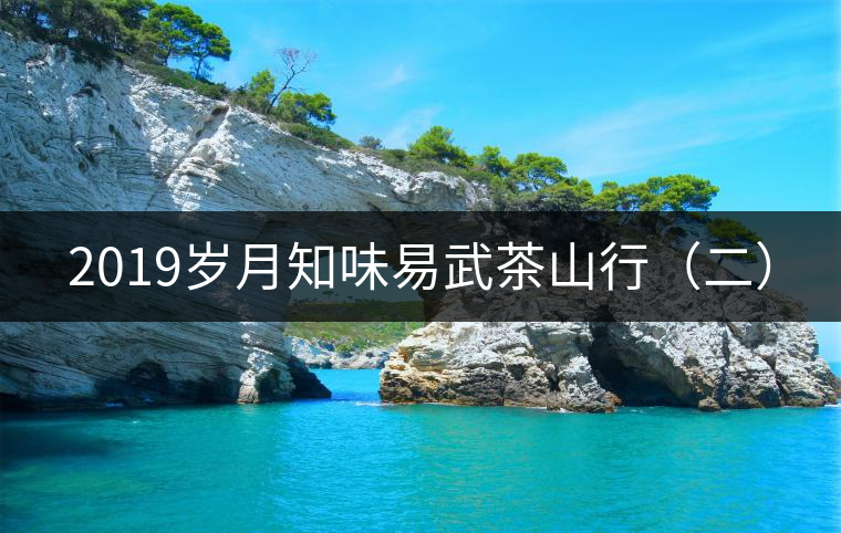 2019歲月知味易武茶山行（二）