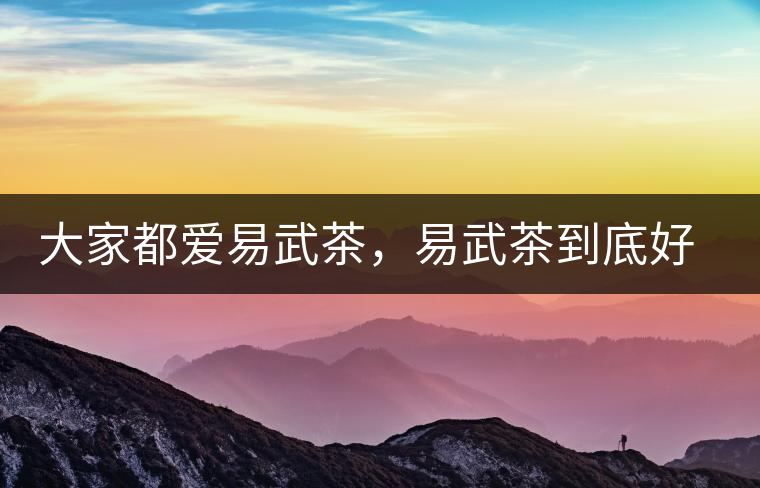 大家都愛易武茶，易武茶到底好在哪兒?大家都愛易武茶，易武茶到底好在哪兒？