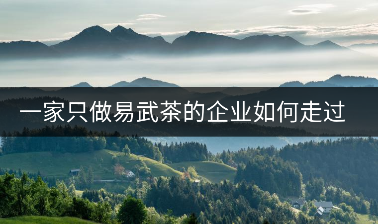 一家只做易武茶的企業(yè)如何走過了十年？