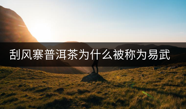 刮風寨普洱茶為什么被稱為易武茶王？