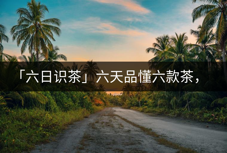 「六日識(shí)茶」六天品懂六款茶，從此愛上山頭茶