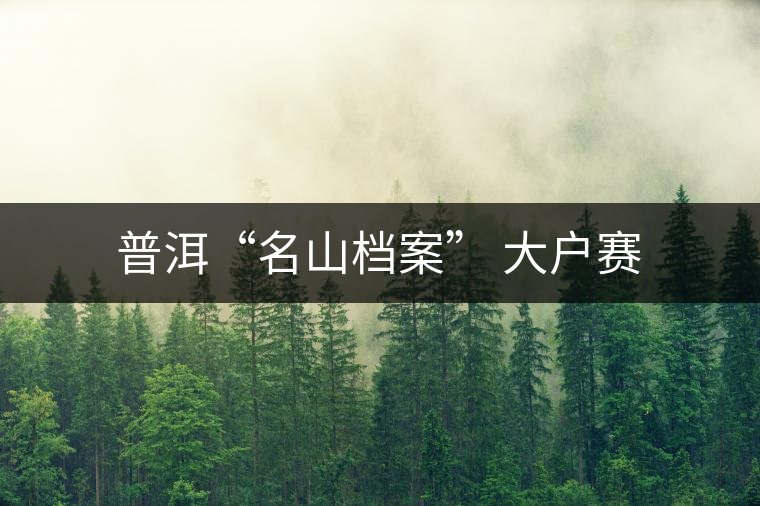 普洱“名山檔案” 大戶(hù)賽